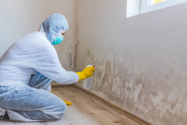 Mold Remediation specialist working in Beaverton